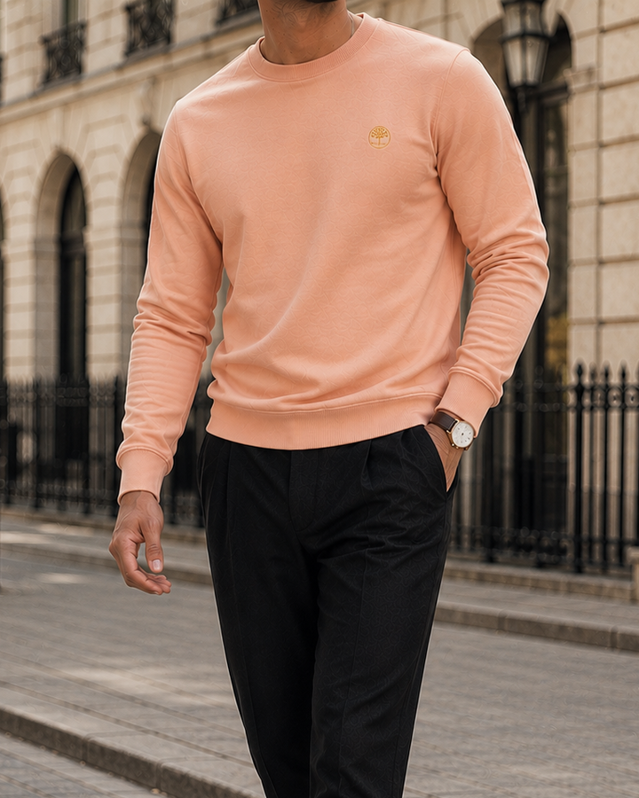 Buzo_caballero_verde_rosado_cuello_redondo_buzo_para_hombre