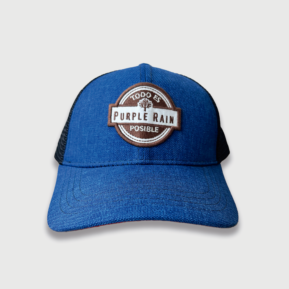 CAP OG CLASSIC - Purple Rain