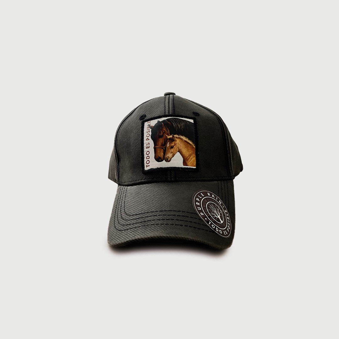 CAP CALL OF NATURE HORSE - Purple Rain