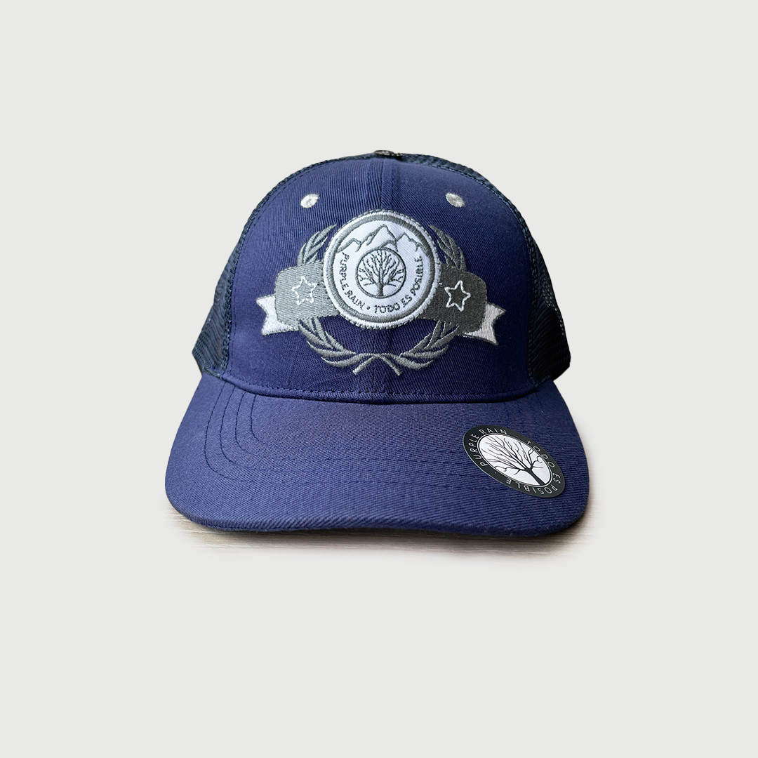 CAP COLLEGE BLUE GRAY - Purple Rain