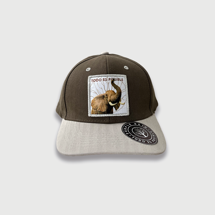 CAP SAVANNAH FEELINGS ELEPHANT - Purple Rain
