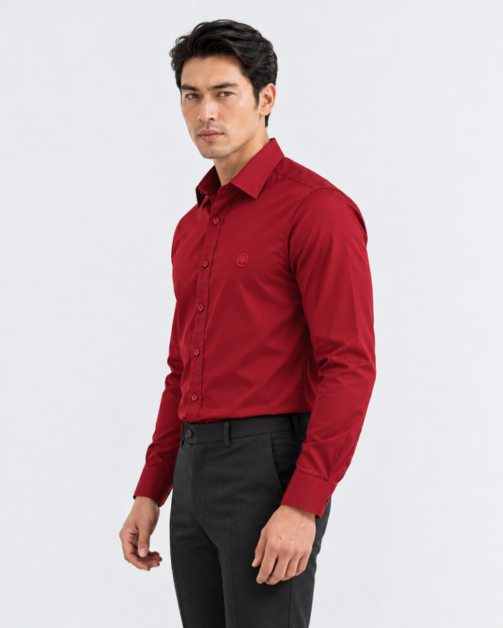 Camisa Hombre Manga Larga en Rayón Stretch Tonos fríos