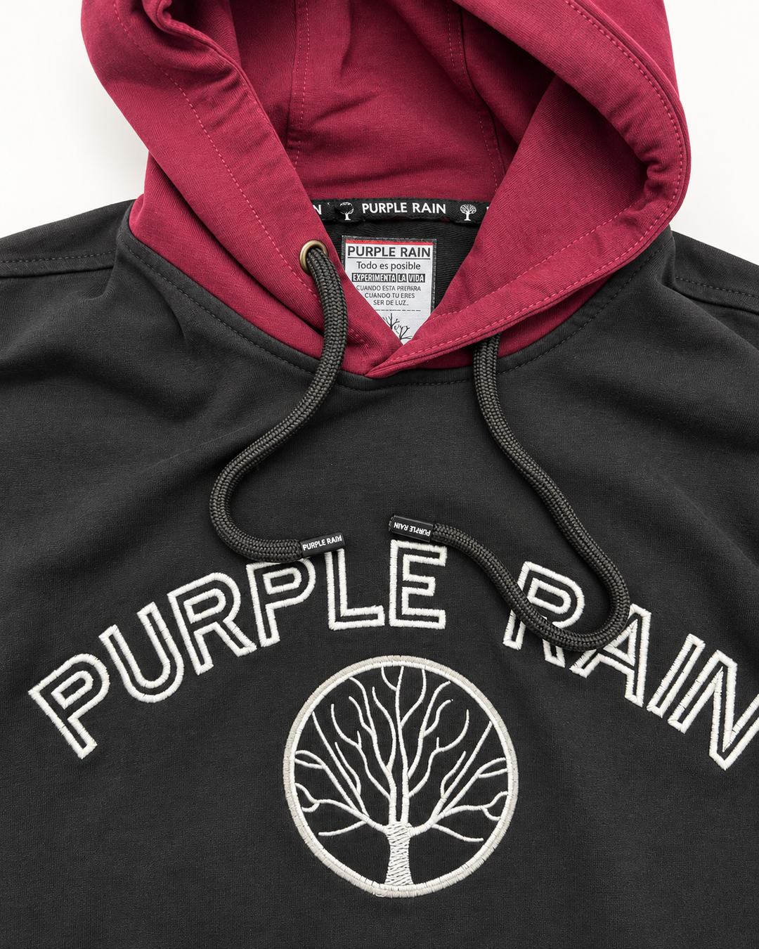 Buzo con Capota en Algodón Pima para Hombre - Purple Rain