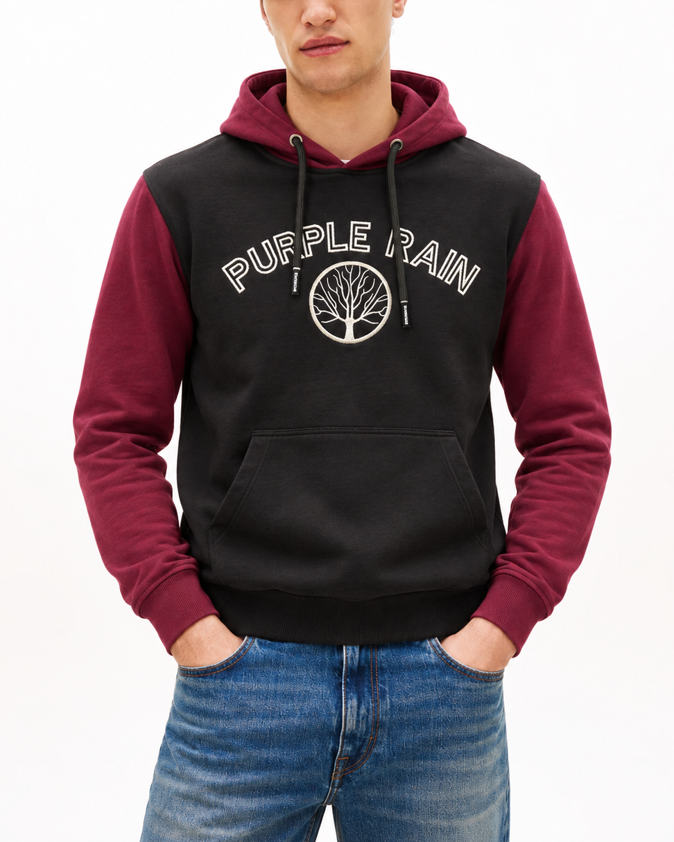 Buzo con Capota en Algodón Pima para Hombre - Purple Rain