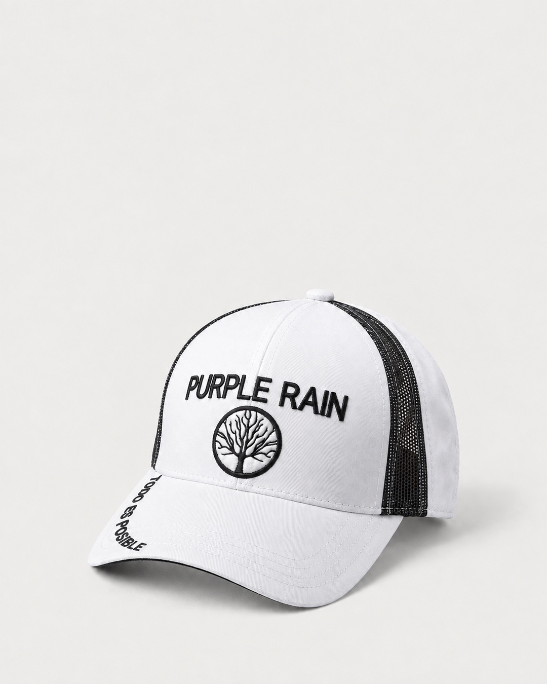 Gorra Clásica con estampado Legend para Hombre - Purple Rain